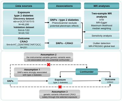 Causal association of type 2 diabetes with central retinal artery occlusion: a Mendelian randomization study